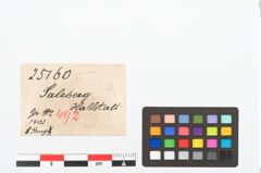 Etikett zu Bronzearmreif (NHMW-PRAE-025160)